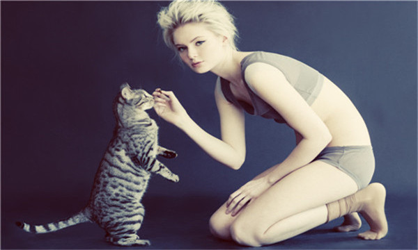 成都找到更好的成都代怀供卵公司,为您打造一个幸福家庭