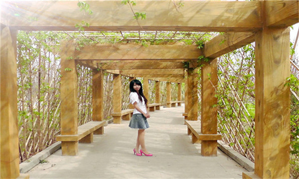 成都成都试管婴儿代生公司,创造新生命,诠释幸福